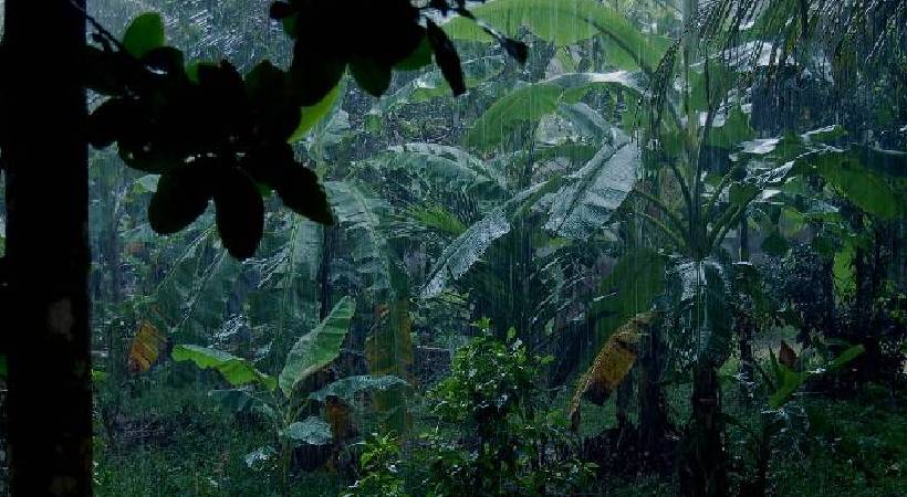 thulam begins tomorrow kerala rain