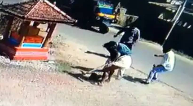 Stray dog ​​beaten by people infected rabies