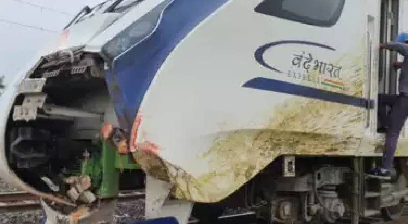 vande bharat express hit cattle