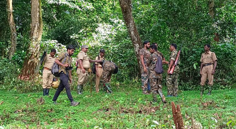 wayanad cheeral search for tiger