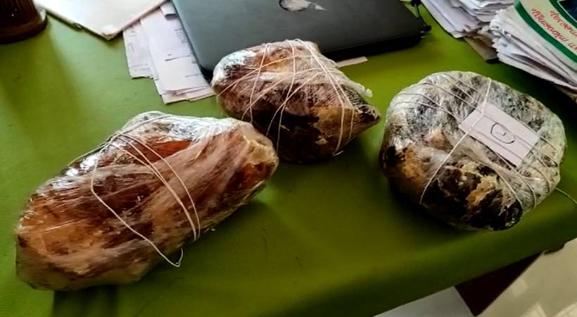 Thiruvananthapuram Ambergris captured