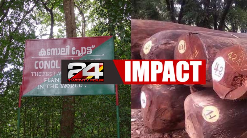 Forest department withdraw from tree felling at Nilambur cannoli