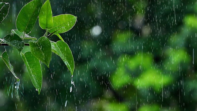 rain alert kerala