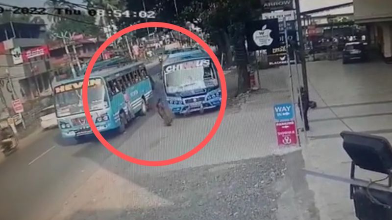 passenger escaped from bus accident kozhikode
