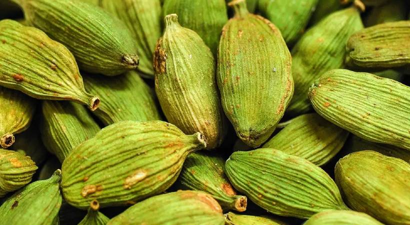 cardamom price falls