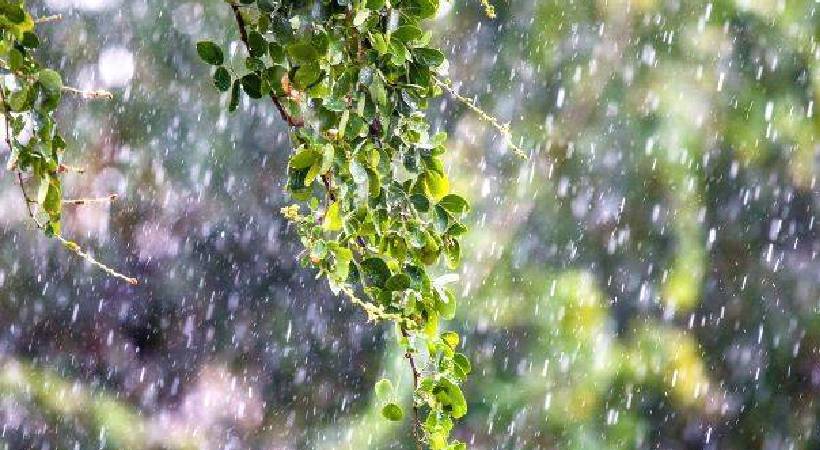 chances of heavy rain for next 5 days
