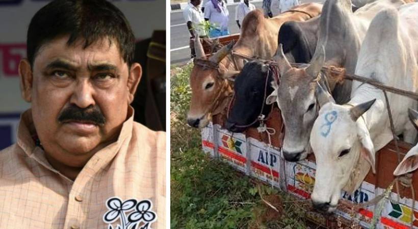 Bengal cattle smuggling; CBI inspects lottery shop in Bholpur
