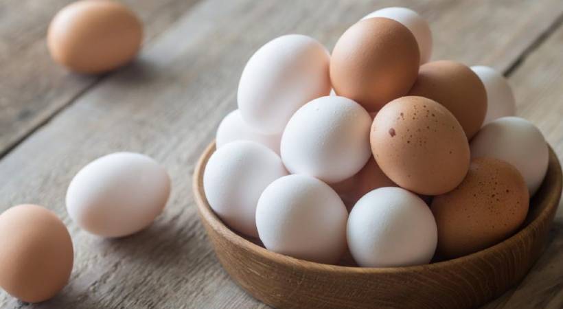 egg price increase in kerala