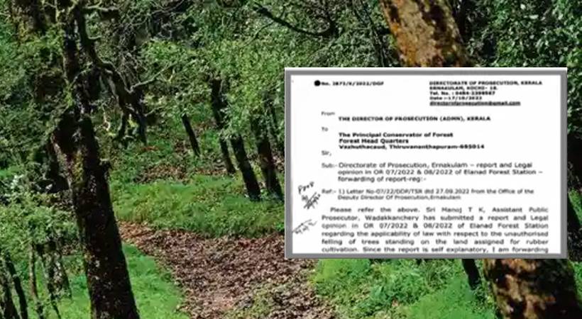 elanadu forest robbery 24 exclusive