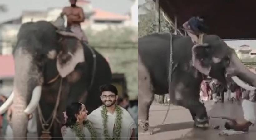 guruvayur elephant attack video