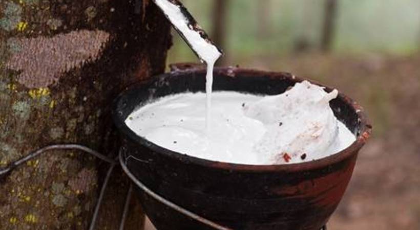rubber latex price drops
