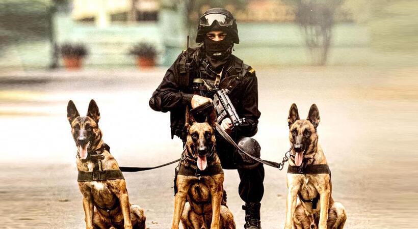 BSF dog deployed by Bangladesh border has 3 pups; court inquiry ordered