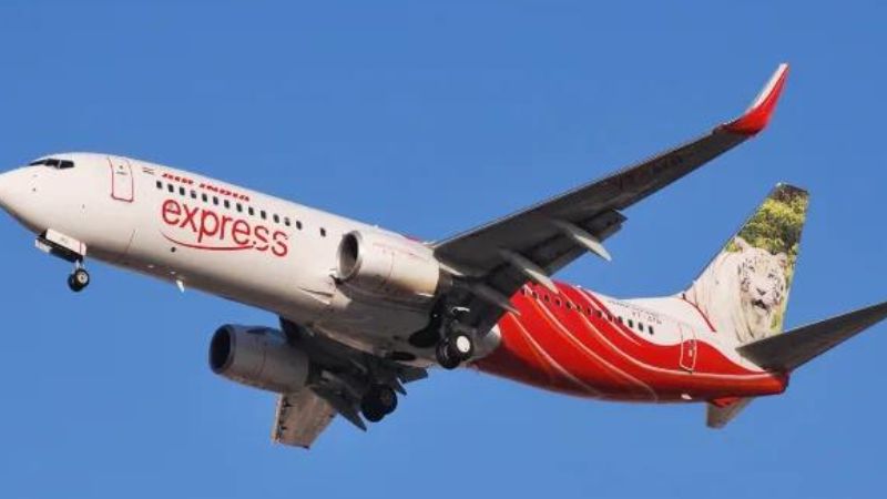 snake found air india express