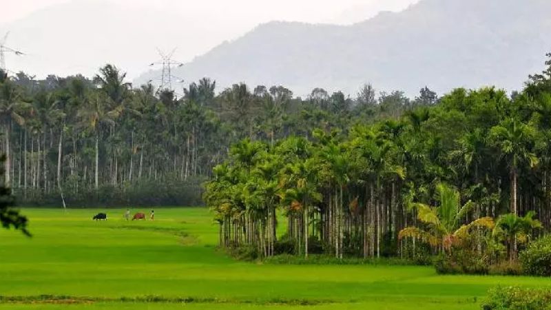 protect to cancel wayanad wildlife sanctuary declaration