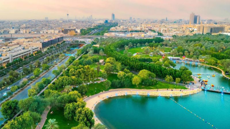 green riyadh scheme for afforestation