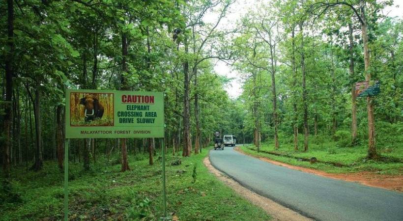buffer season Collector's instructions submit report