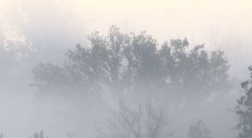 fog in kochi airplanes couldn't land in nedumbassery airport