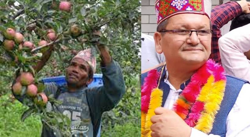 himachal apple farmers support congress