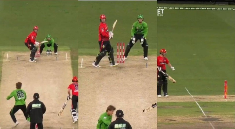 Adam Zampa's Bizarre Attempt To Run Out Batter Backing Up Overturned By Third Umpire in BBL Match