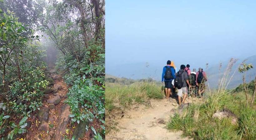Agasthyarkoodam Trekking online booking