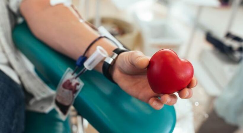 Germany To Lift Restrictions On Gay Blood Donors