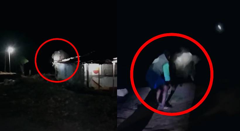 Elephant attack at Santhanpara Panniyar Estate