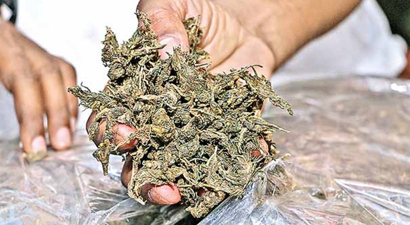 12 kg of ganja seized Palakkad