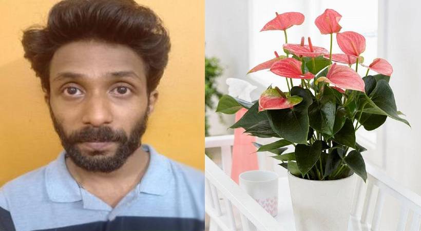 police arrested young man who stole Anthurium