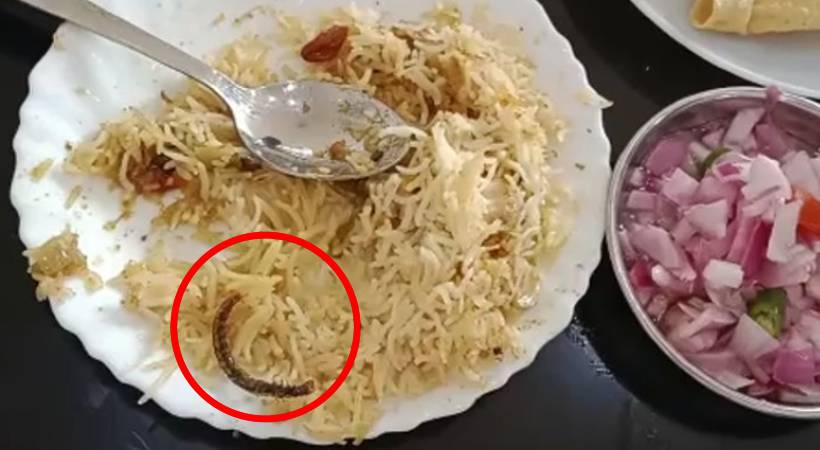 Centipede found in biryani hotel closed