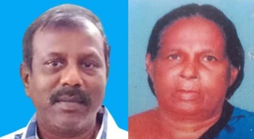 mother and son died in Vellanadu