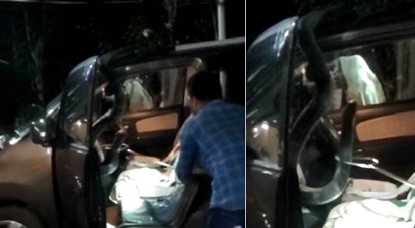 King cobra in car Finally caught