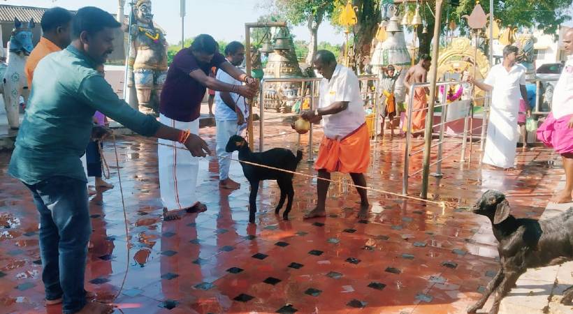 tamilnadu police performs animal sacrifice