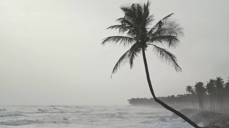 winds and rain are likely in coastal region of kerala today