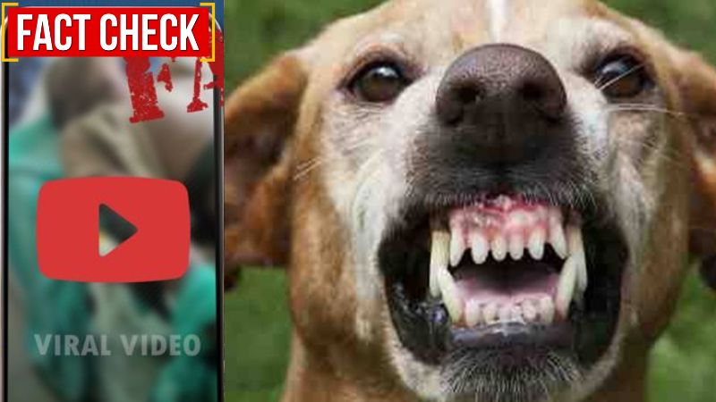 fact check about rabies stricken child in ambulance