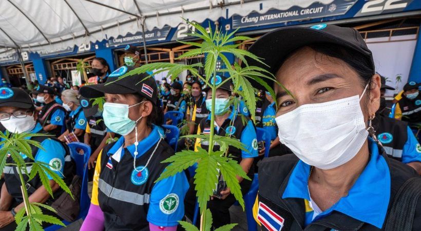 Thailand Parties fight over cannabis issue ahead election