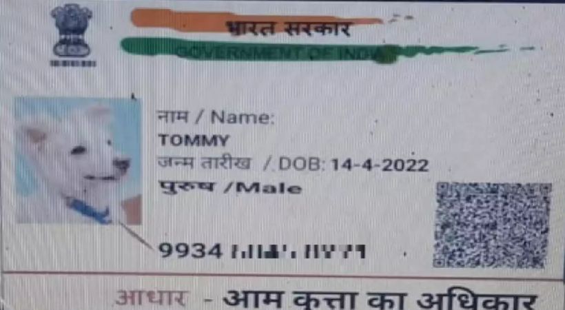Dog 'files' application for caste certificate in Bihar