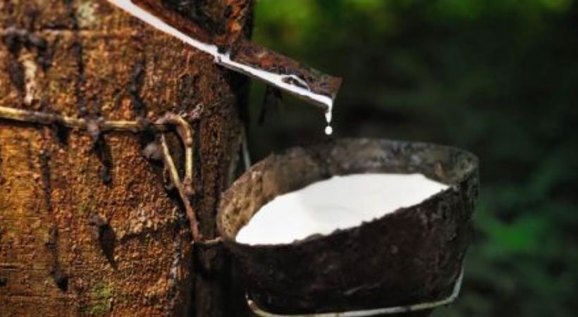 Joint meeting on central budget announcements related to rubber import