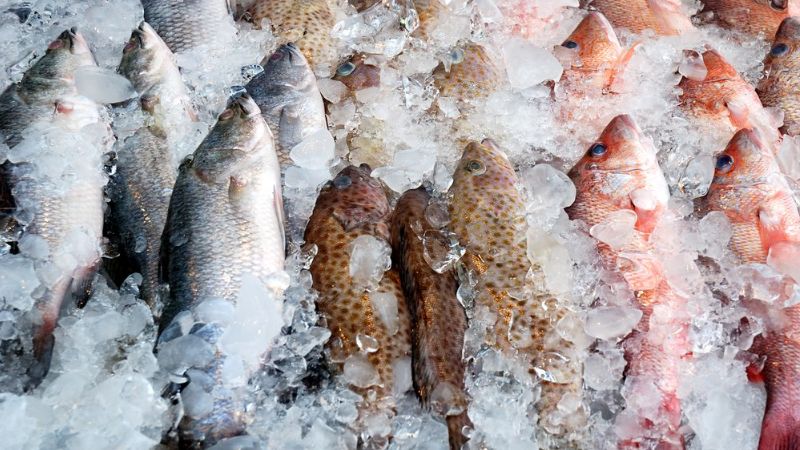 did not detect chemical content in fish caught in Etumanur