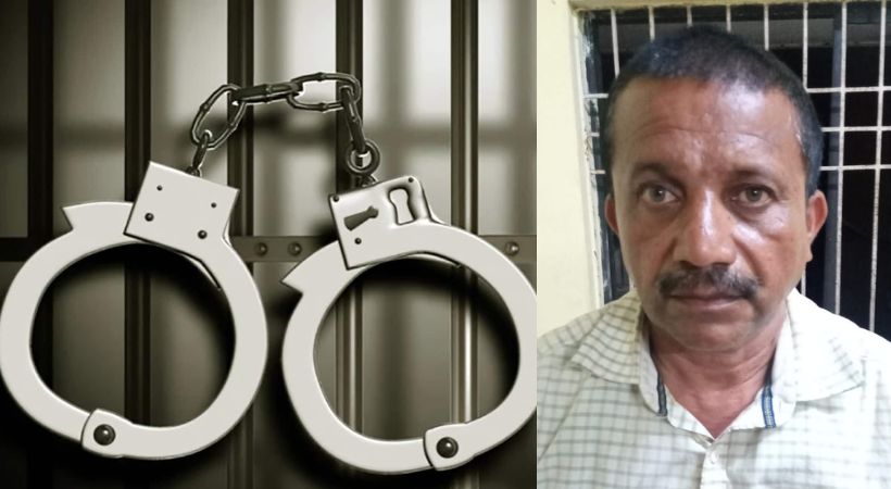 employment fraud Defendant remanded