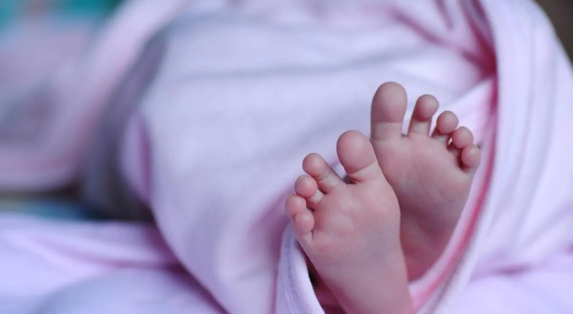 mother and newborn baby died in palakkad