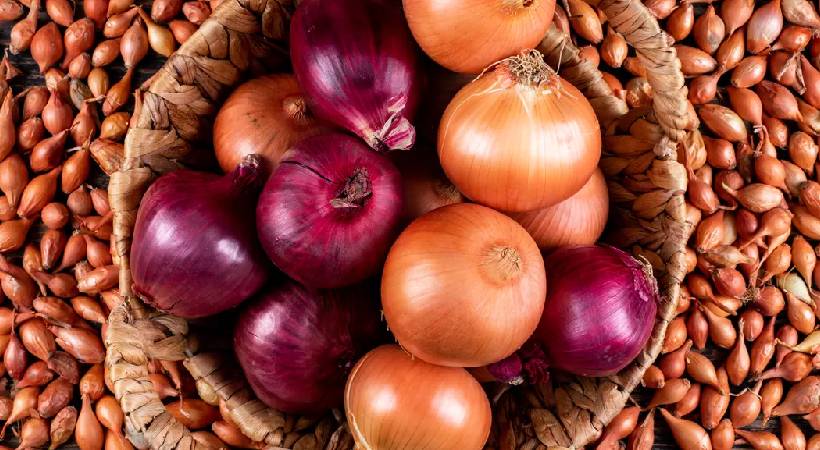 maharashtra farmer sells 512 kg onion gets 2 Rs back