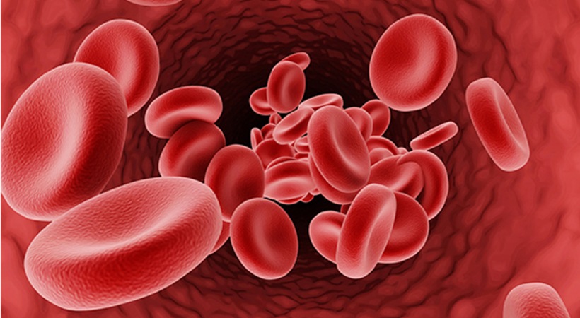 9th class student searching for stem cell donor to treat aplastic anemia