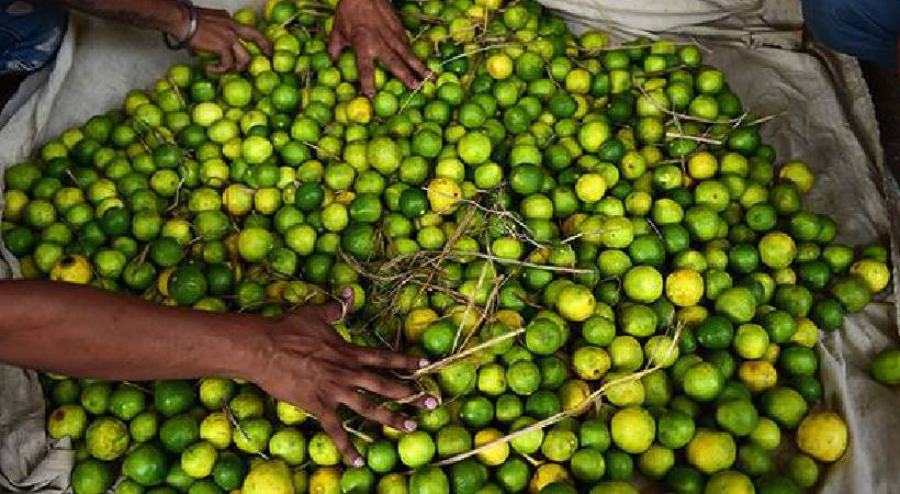 kerala lemon and fruits price increase