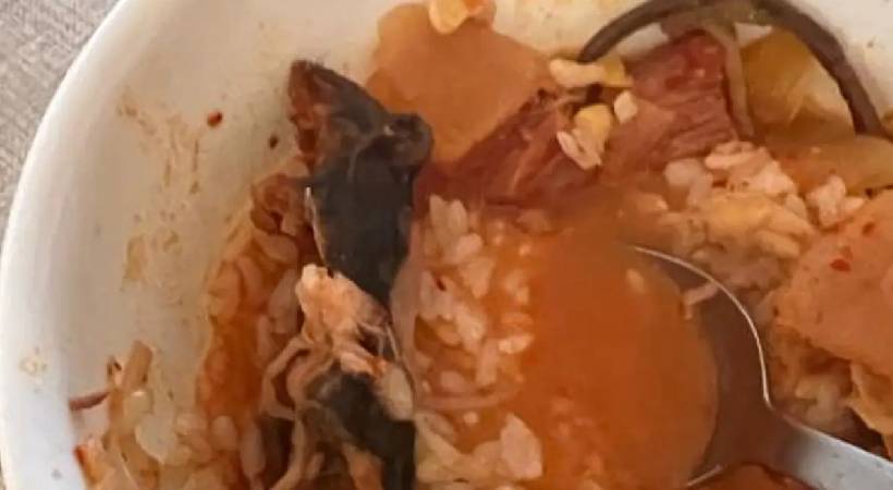 dead rat in soup