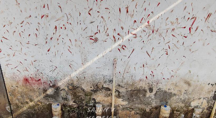 kozhikode beach hospital wall blood stains