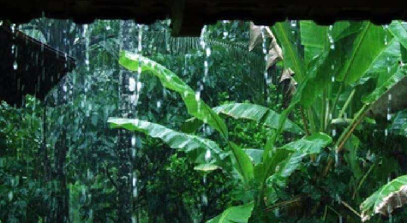 chances of rain in southern kerala