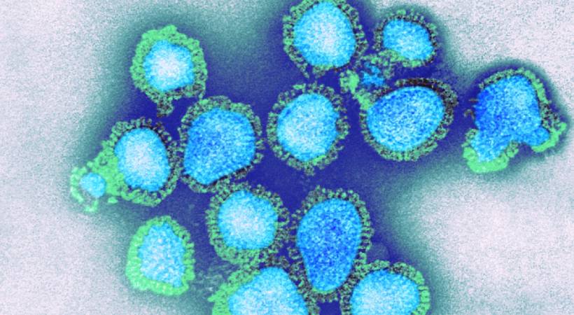 H3N2 Influenza India report 2 deaths