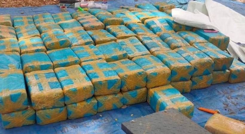 541 kg of Marijuana seized in Andhra Pradesh