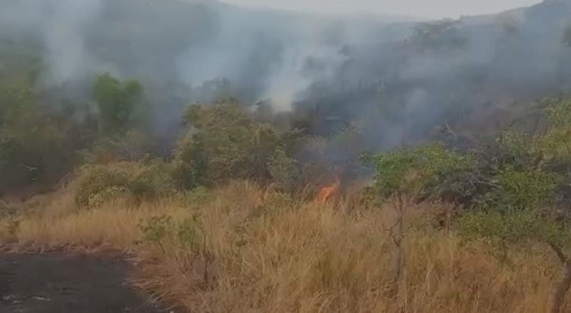 A fire broke out in the forest at Thiruvananthapuram