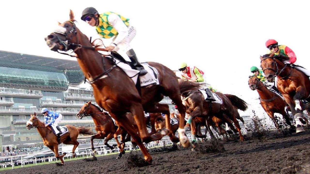 Dubai World Cup begins with highest prize money in the world